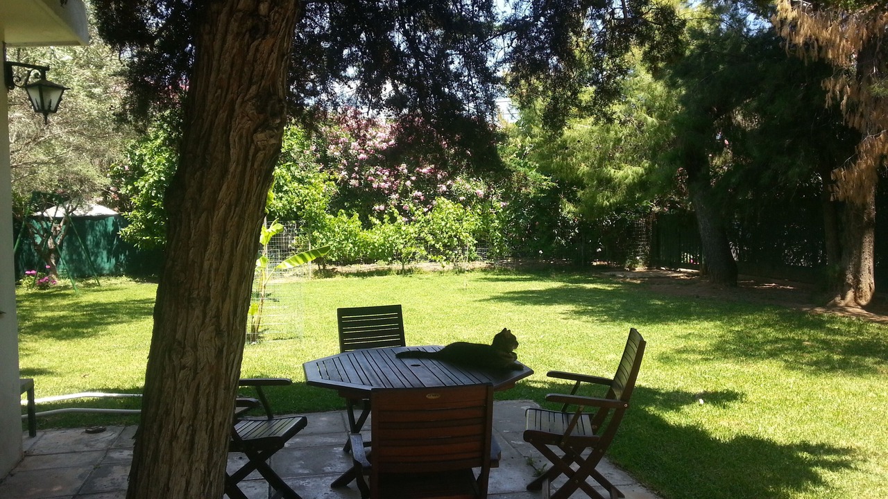 Photo of Outdoor in Eretria