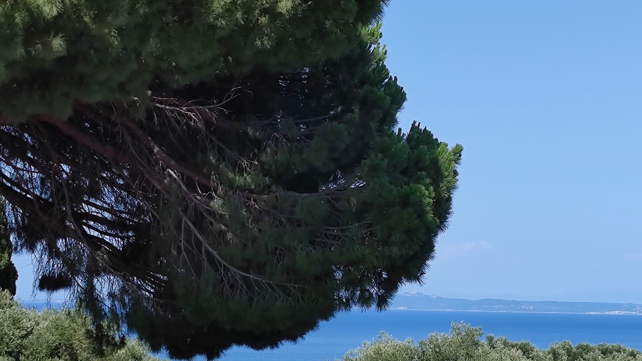 Photo of Others in Akrotiri