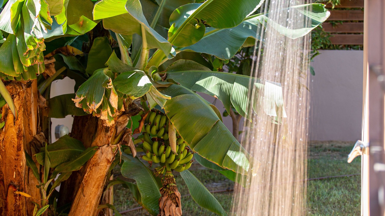 Photo of Outdoor in Kato Galatas