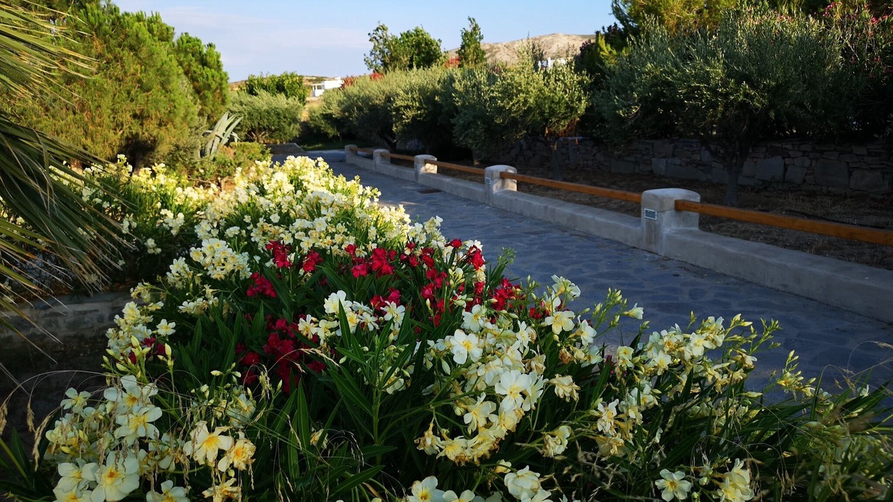 Photo of Outdoor in Naousa