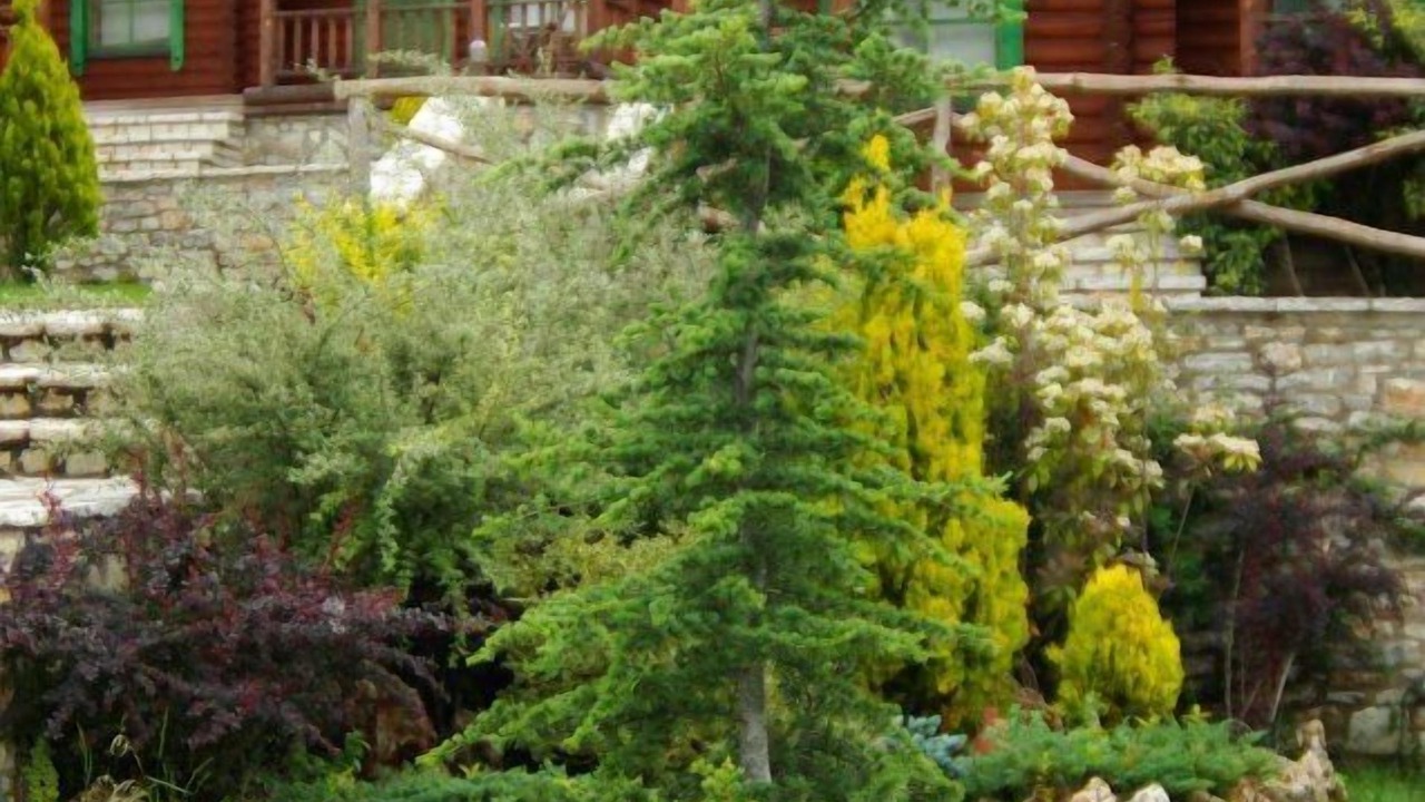 Photo of Outdoor in Ano Chora