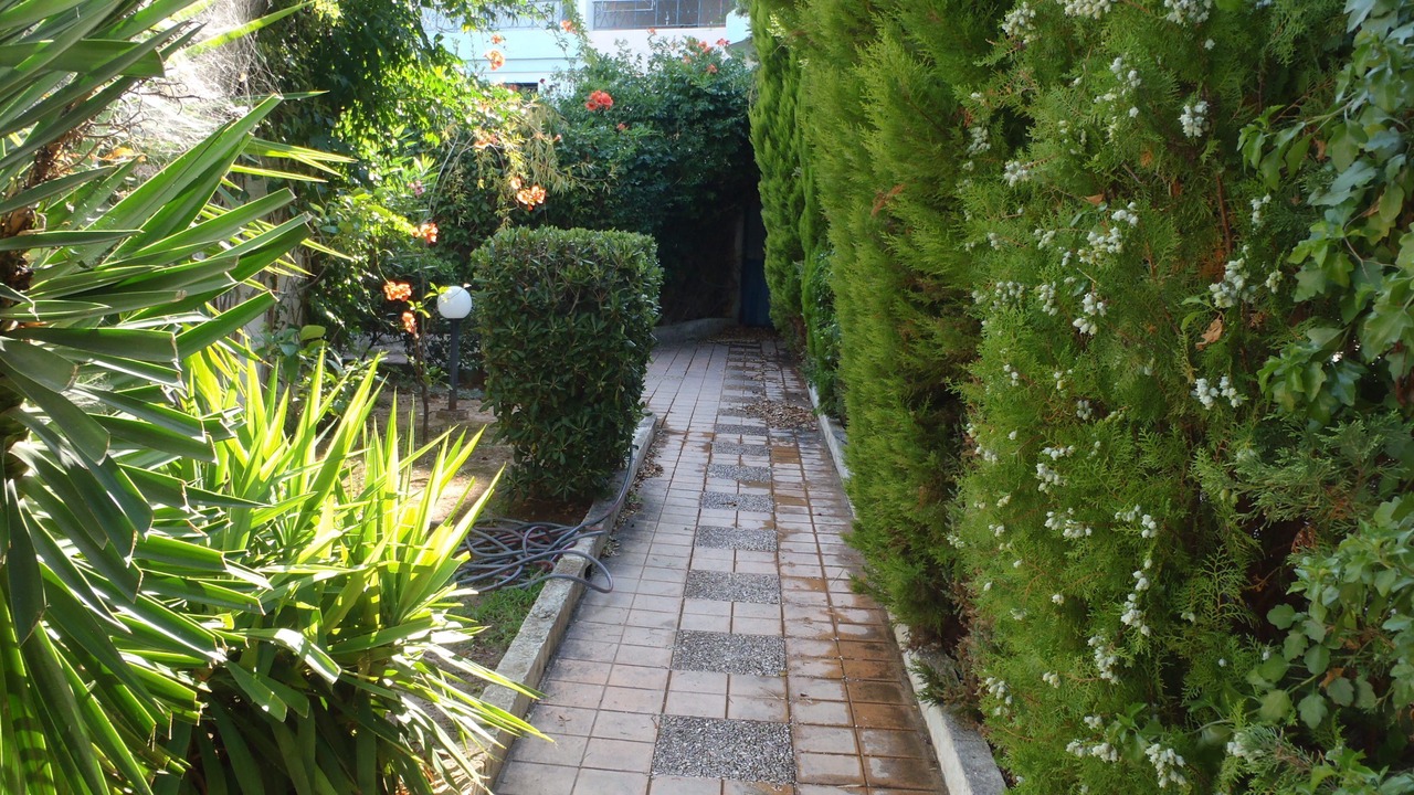 Photo of Outdoor in Porto Rafti