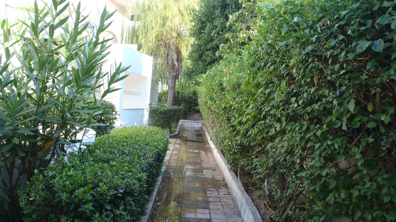 Photo of Outdoor in Porto Rafti