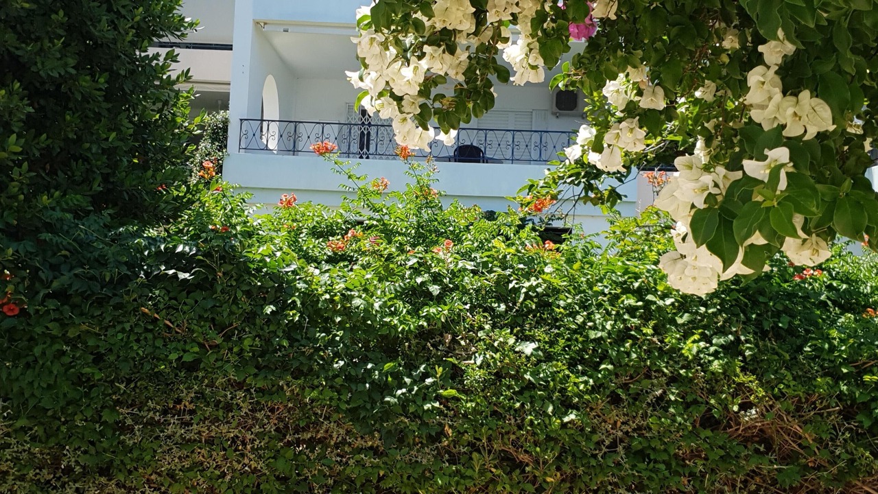 Photo of Outdoor in Porto Rafti