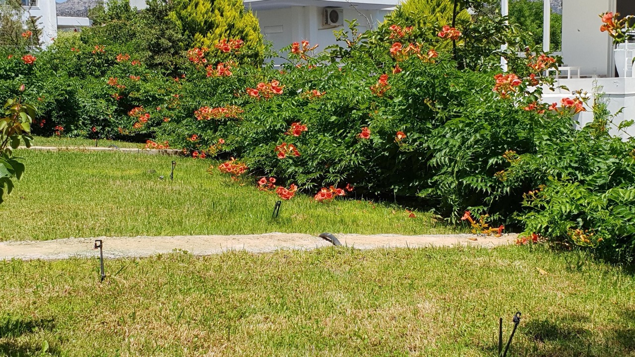 Photo of Outdoor in Porto Rafti