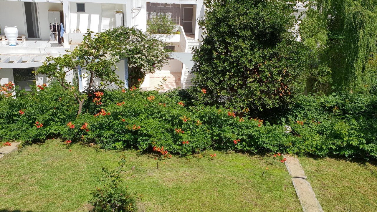 Photo of Outdoor in Porto Rafti