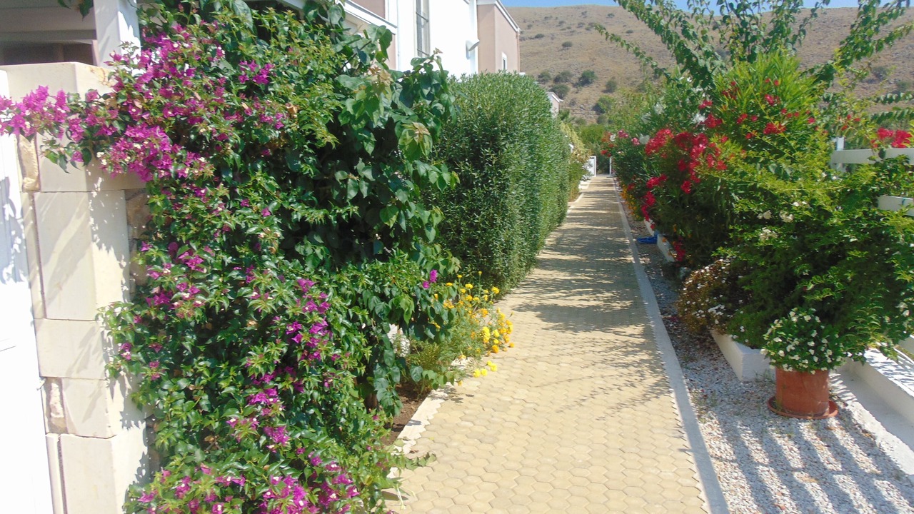 Photo of Outdoor in Georgioupolis
