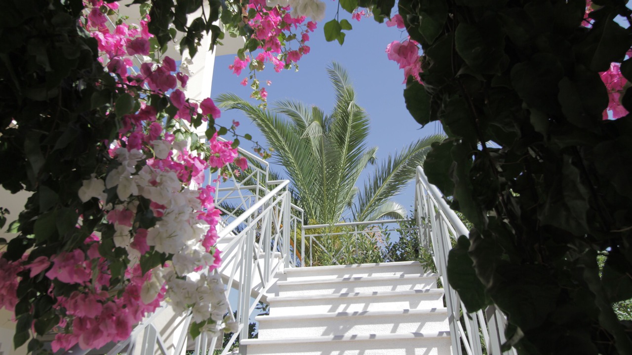 Photo of Outdoor in Spata-Artemida