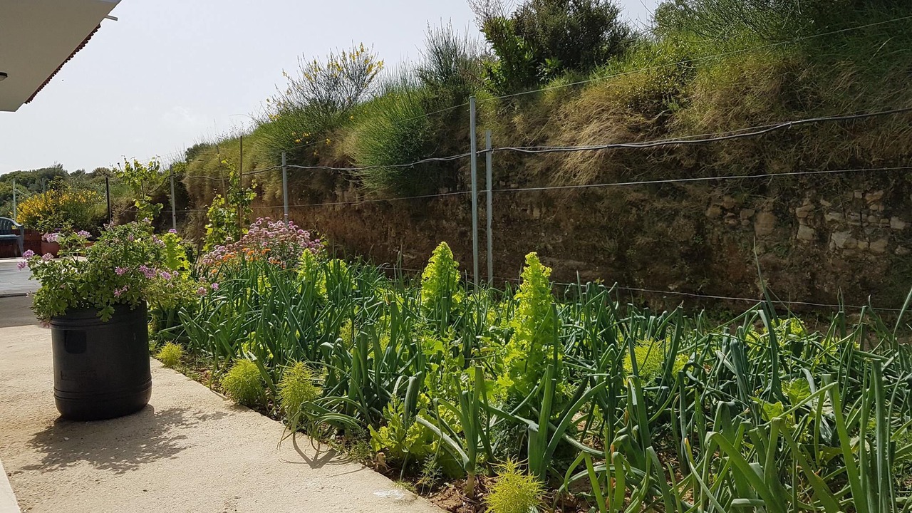 Photo of Outdoor in Agios Stefanos Avliotes