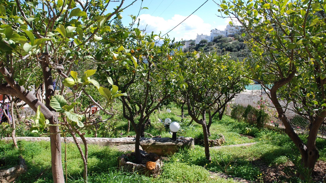 Photo of Outdoor in Ammoudara