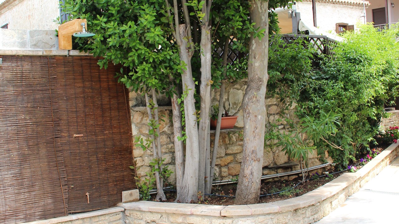 Photo of Outdoor in Afytos