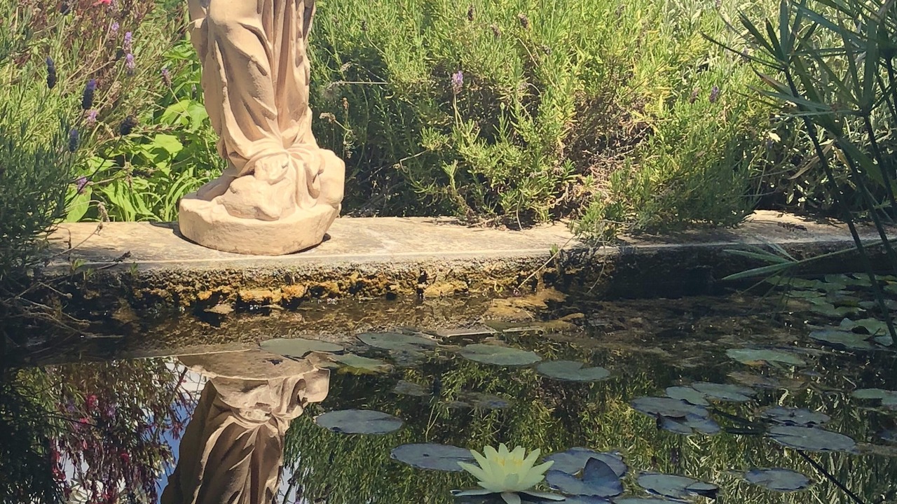 Photo of Outdoor in Corfu