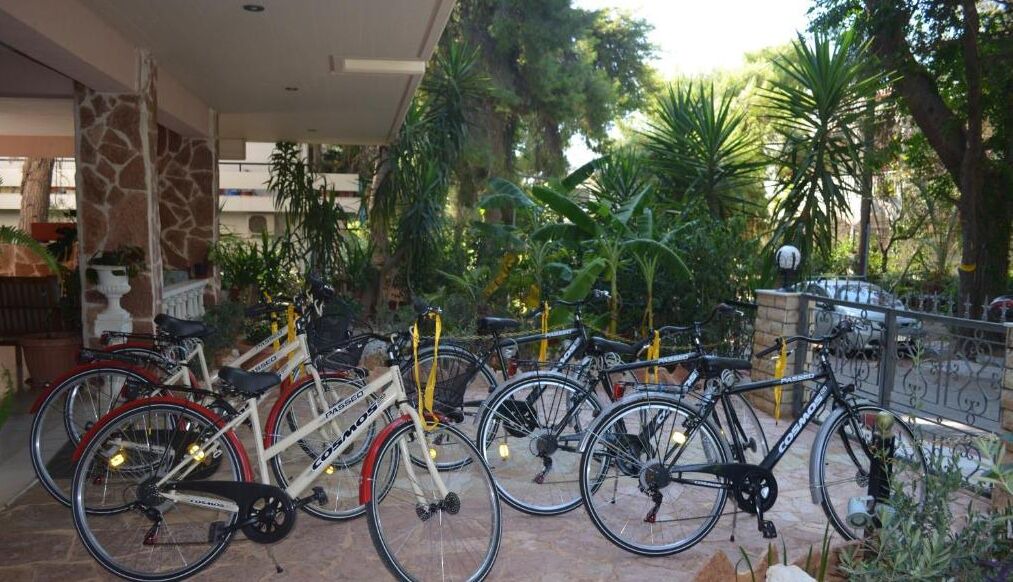 Photo of Outdoor in Nea Makri
