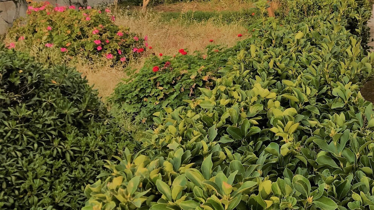 Photo of Outdoor in Stavros