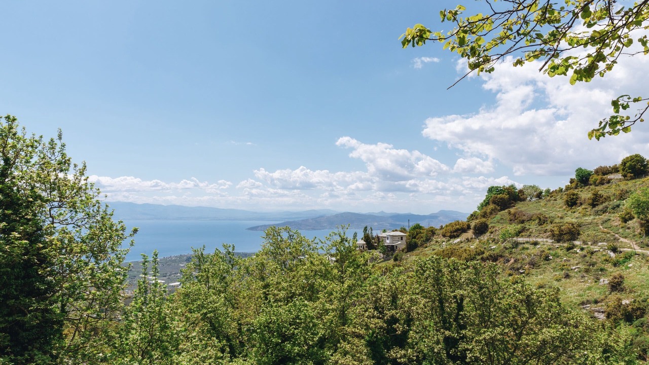 Photo of Others in South Pelion