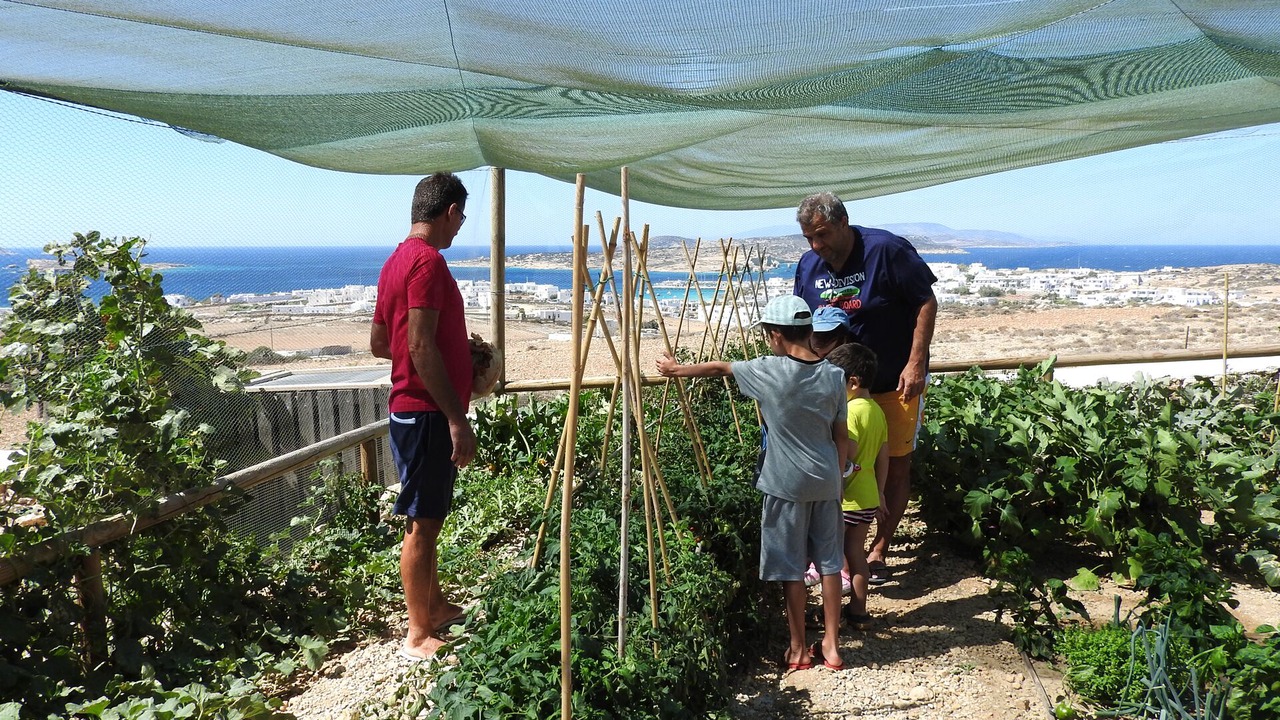 Photo of Others in Koufonisia