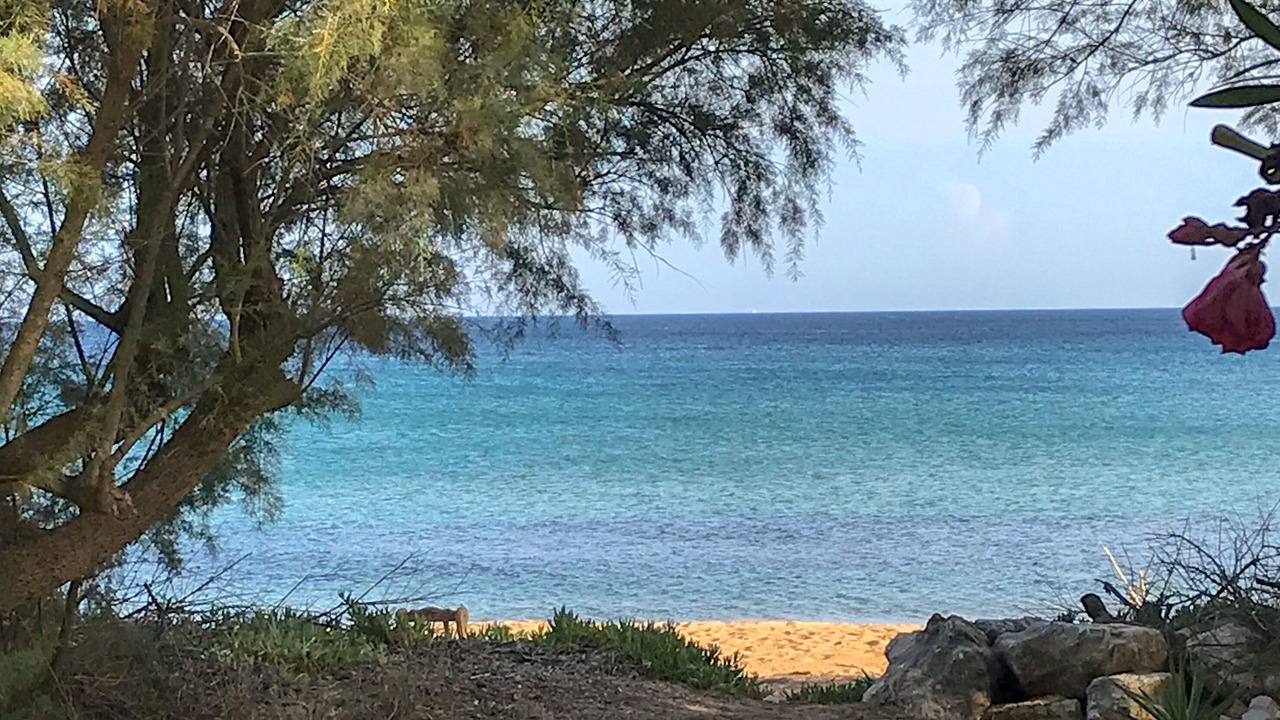 Photo of Others in Koroni