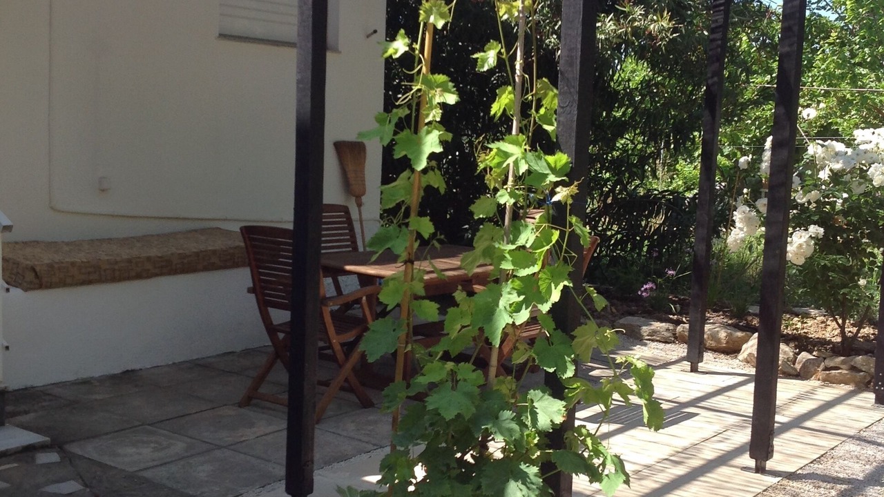 Photo of Outdoor in Koroni