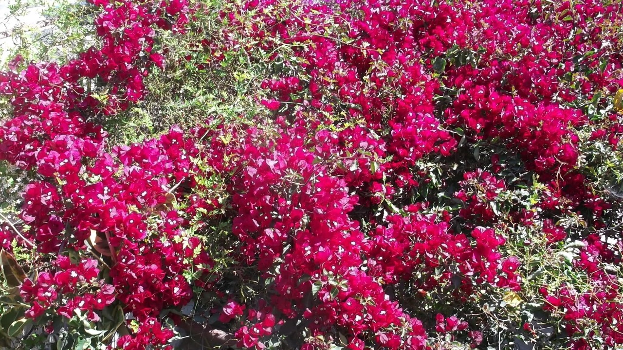Photo of Outdoor in Leonidio