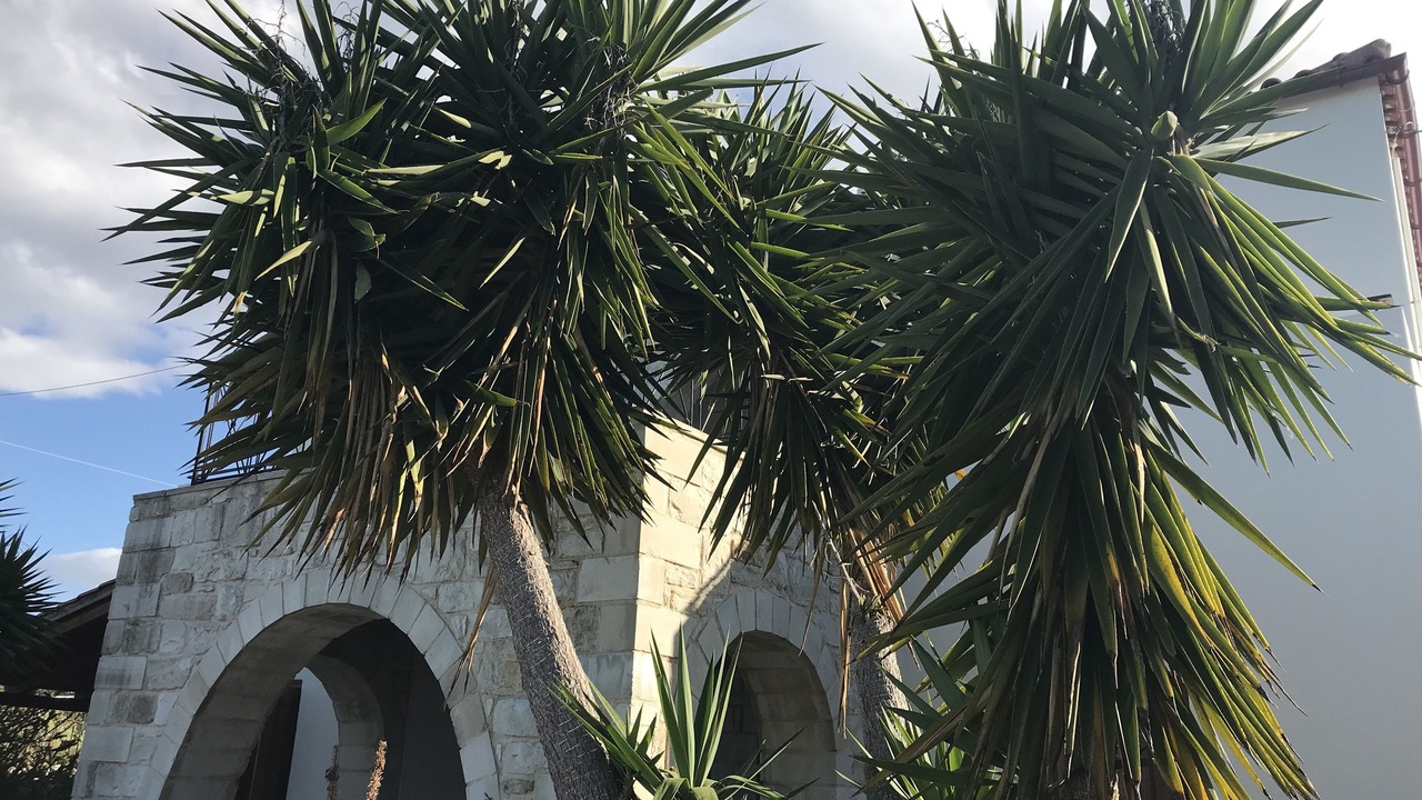 Photo of Outdoor in Kefalas
