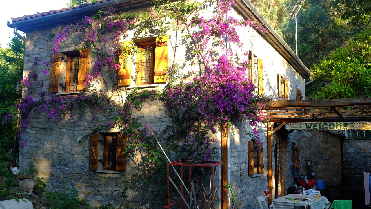 Photo of Outdoor in Milina
