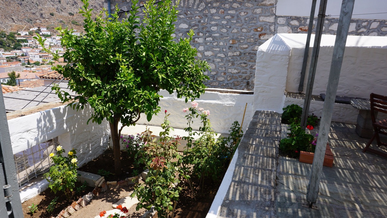 Photo of Outdoor in idhra