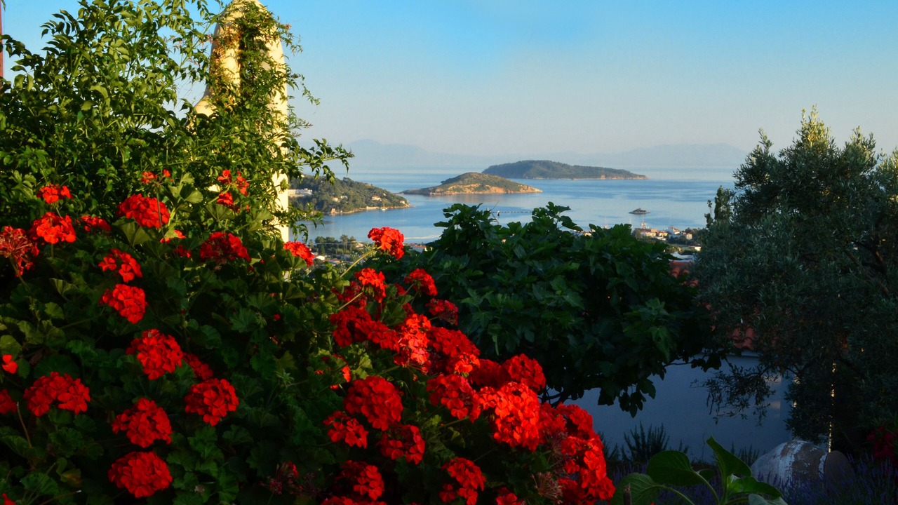 Photo of Others in Skiathos