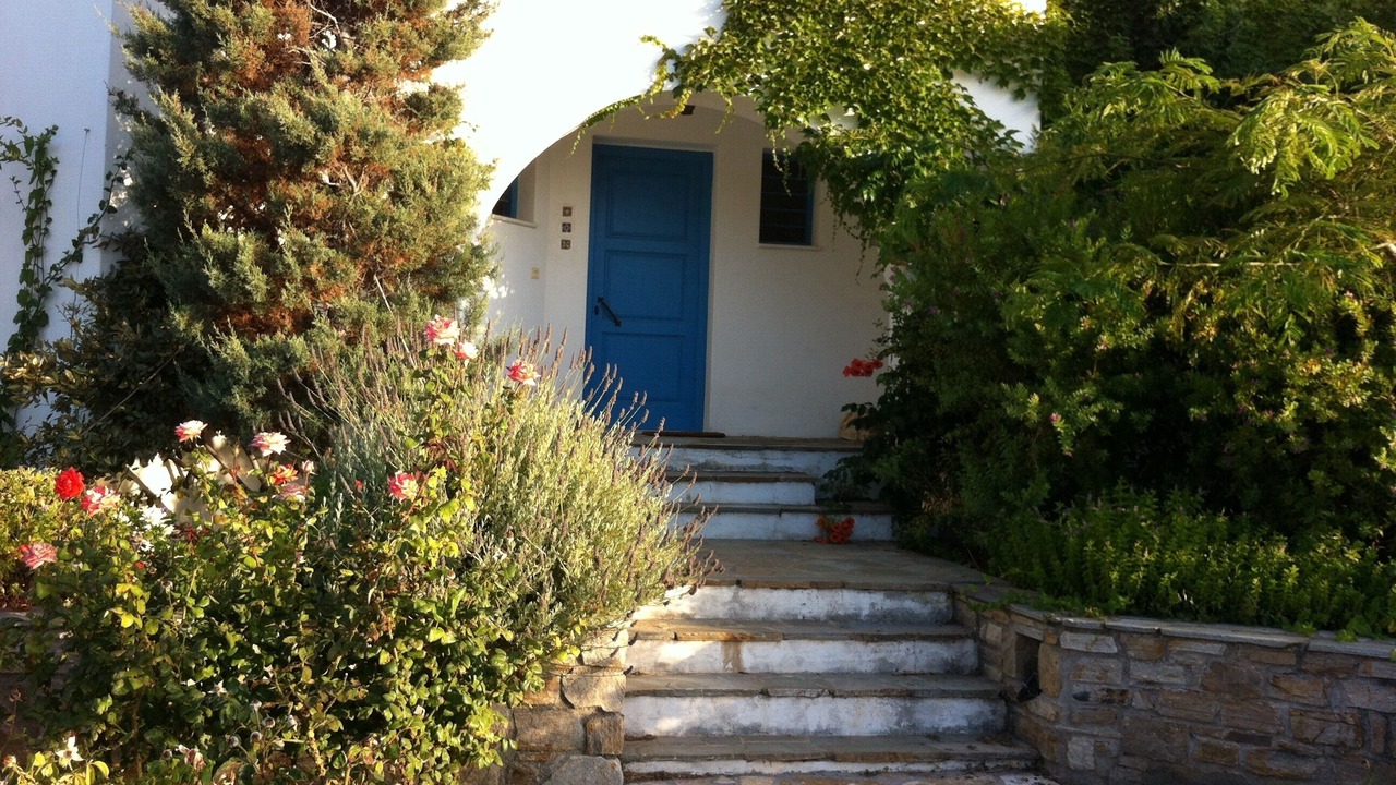 Photo of Outdoor in Stelida