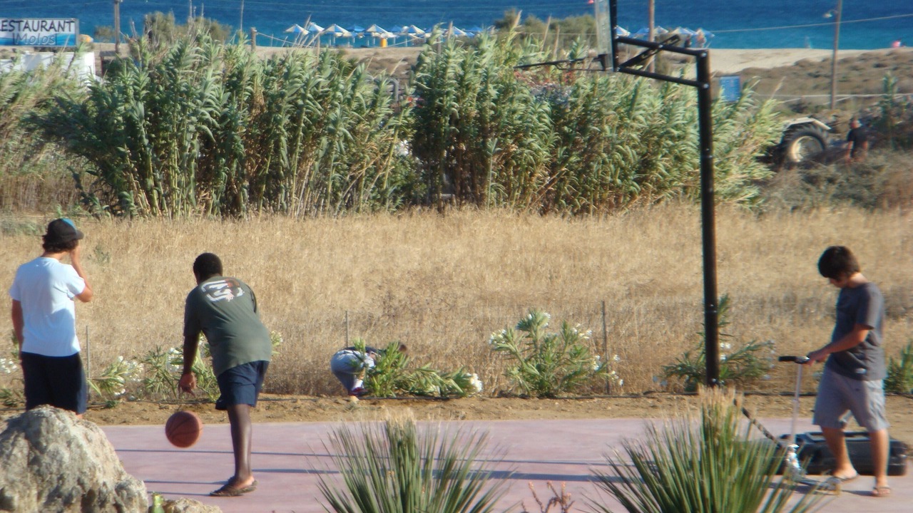 Photo of Others in Stelida