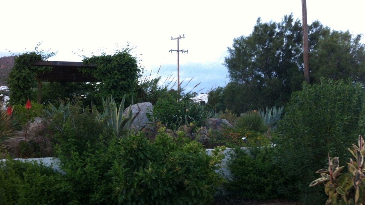 Photo of Outdoor in Stelida