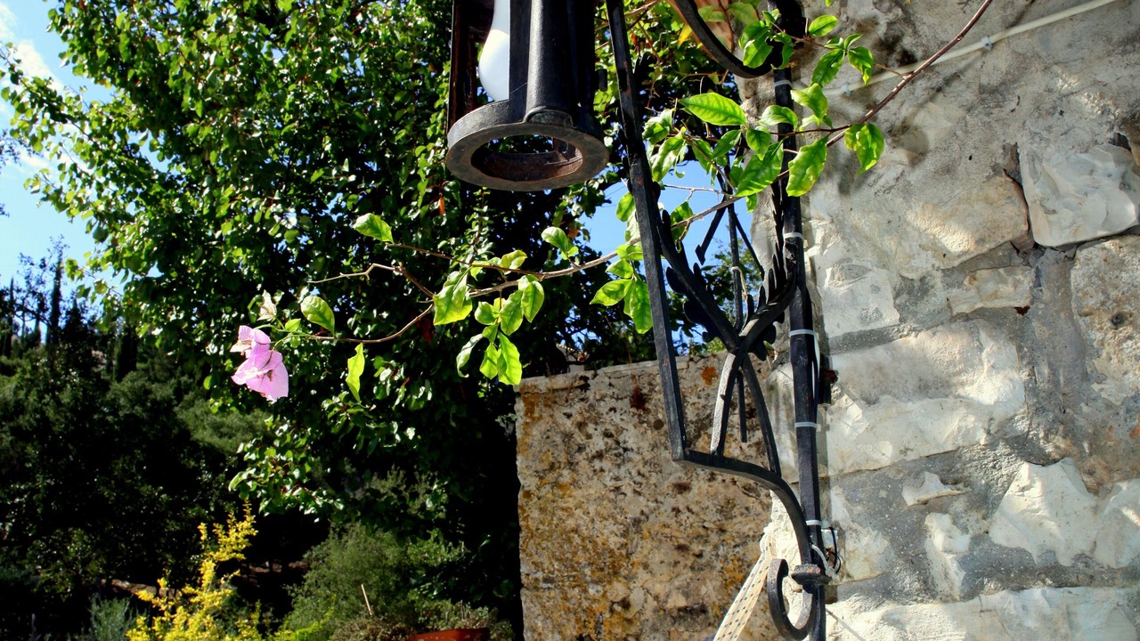 Photo of Outdoor in Tselendata
