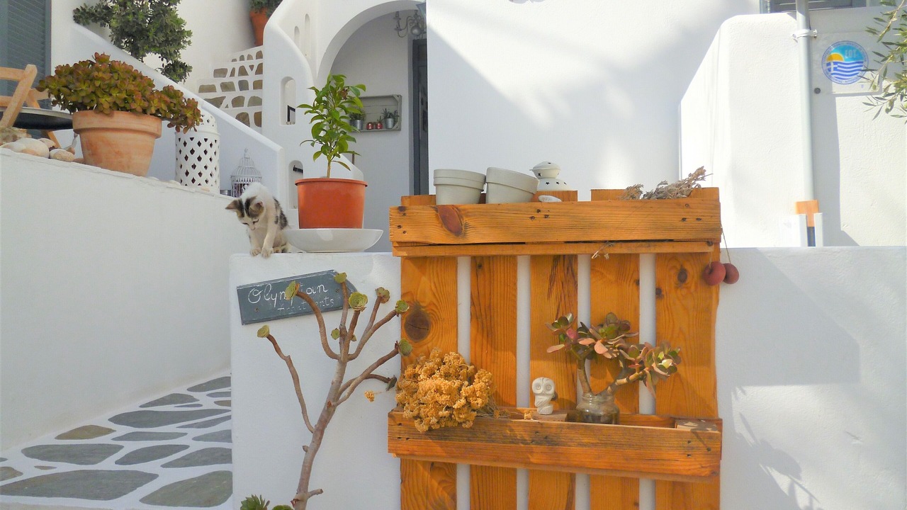 Photo of Outdoor in Paros