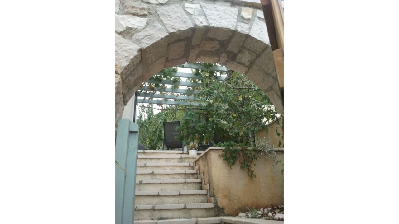 Photo of Others in Petaleia
