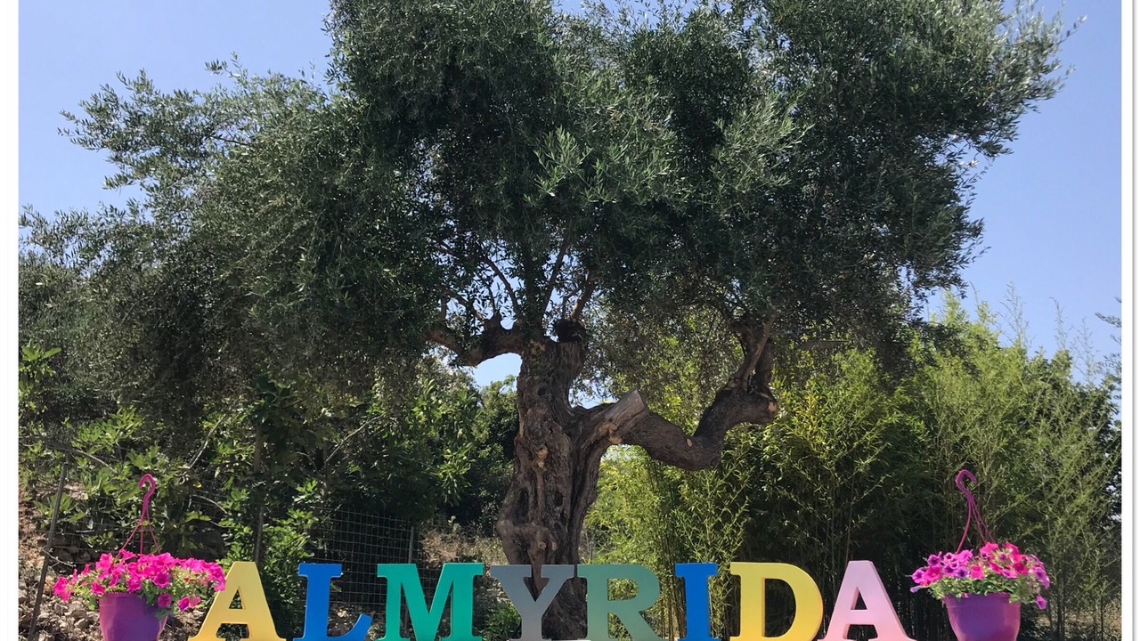 Photo of Others in Almyrida