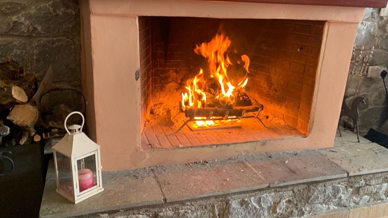 Photo of Livingroom in Avia