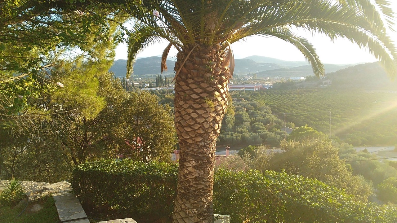 Photo of Outdoor in Exostis