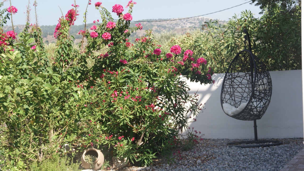 Photo of Outdoor in Kalithies