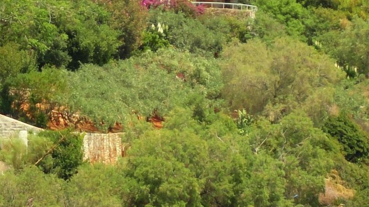 Photo of Others in Daskalio