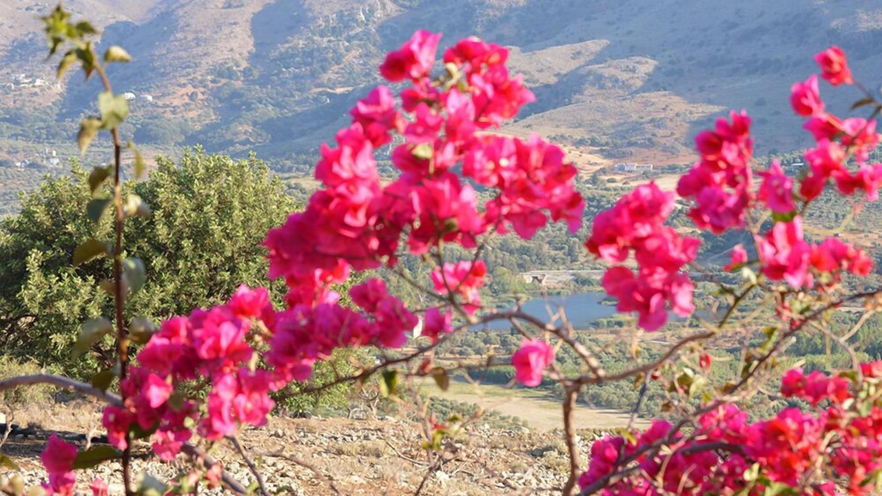 Photo of Others in Georgioupolis