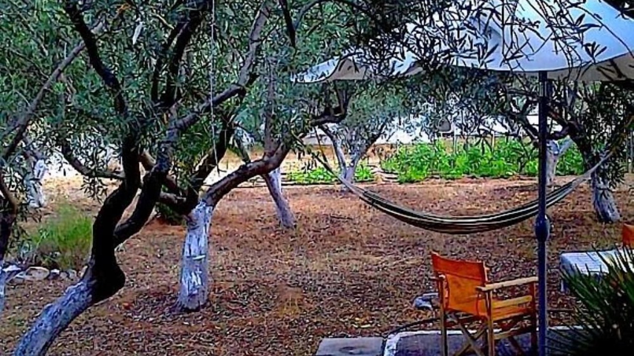 Photo of Outdoor in Eretria
