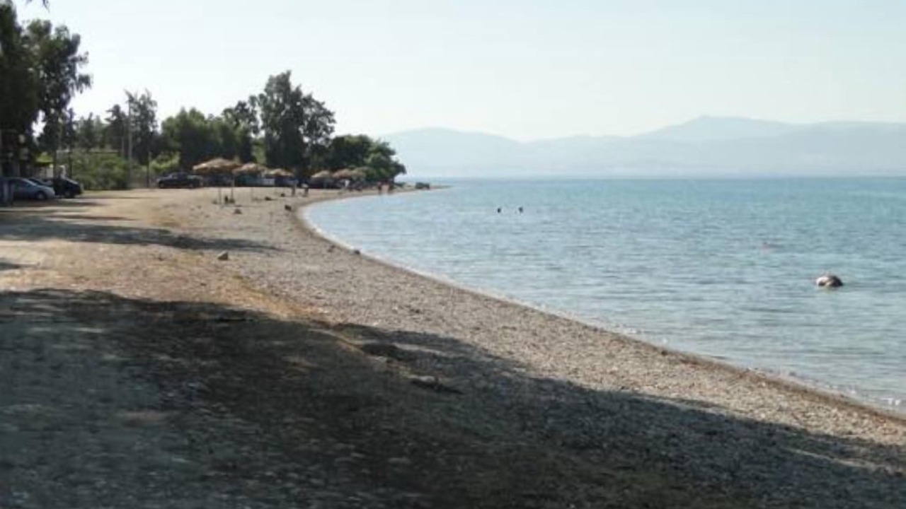 Photo of Others in Eretria