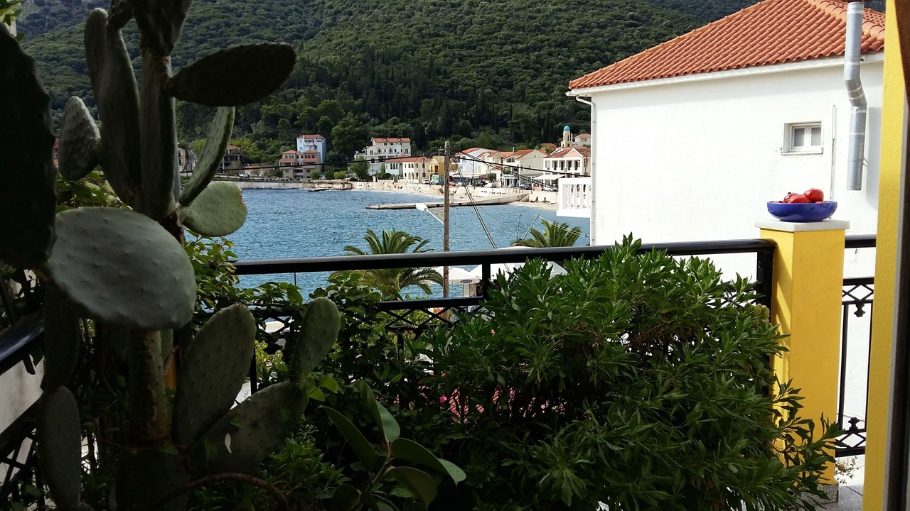 Photo of Outdoor in Agia Efimia