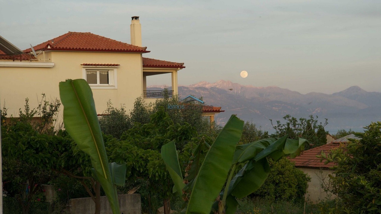 Photo of Outdoor in Messini