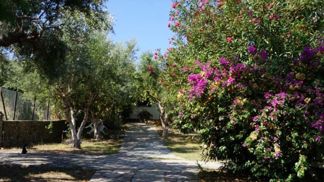 Photo of Outdoor in Pylos-Nestoras