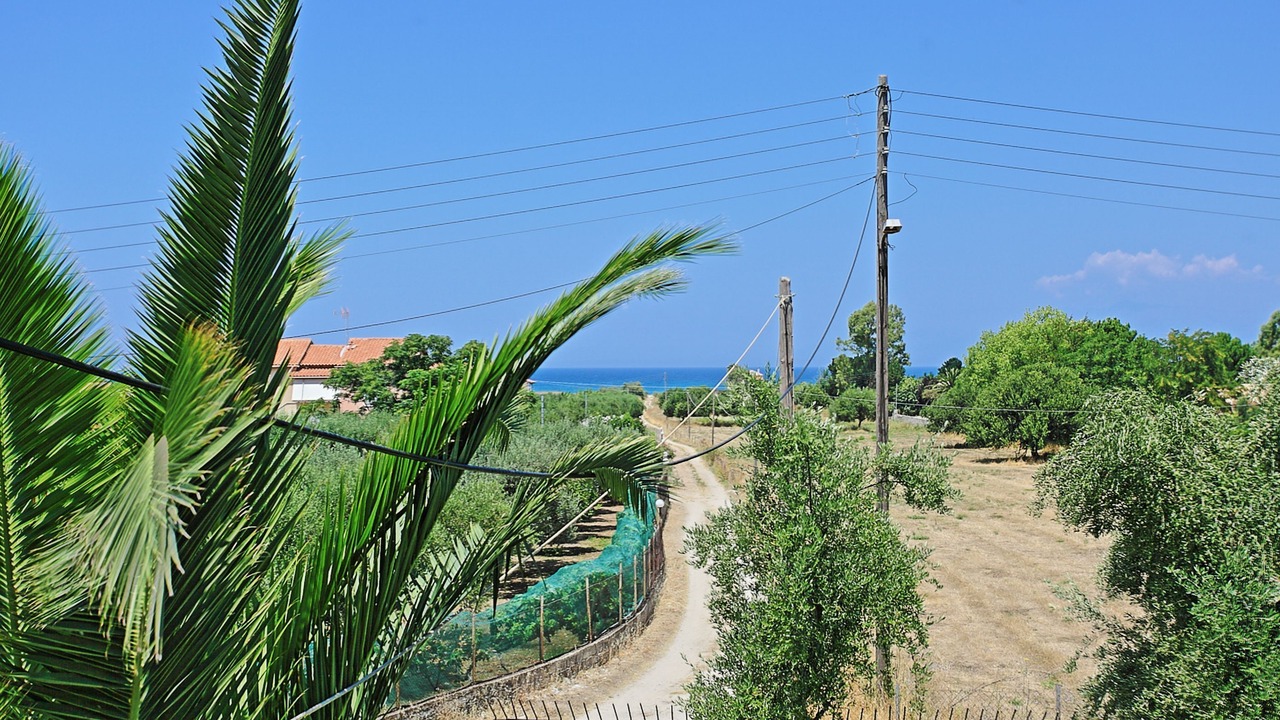 Photo of Others in Almiros Beach