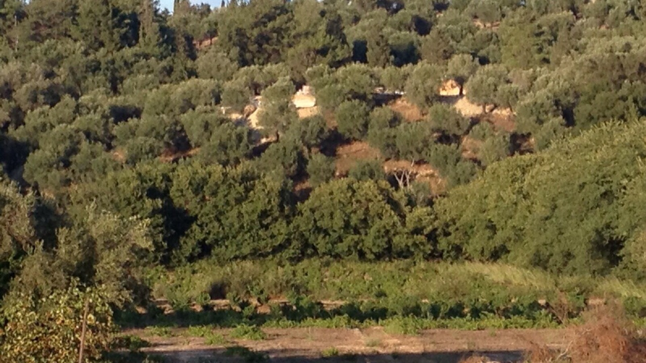 Photo of Outdoor in Giannades