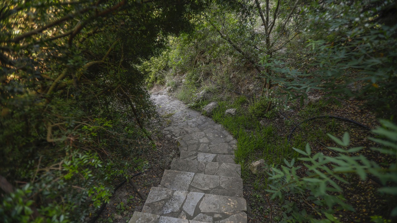Photo of Outdoor in Svoronata