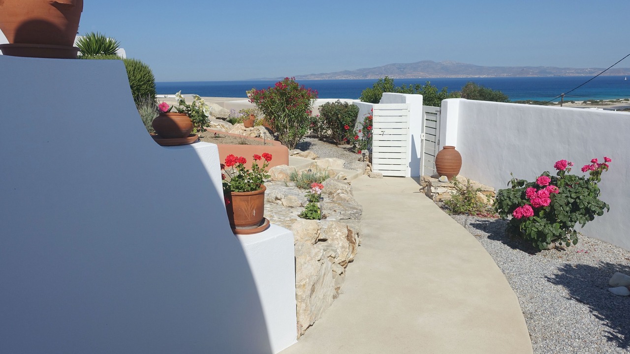 Photo of Others in Naxos