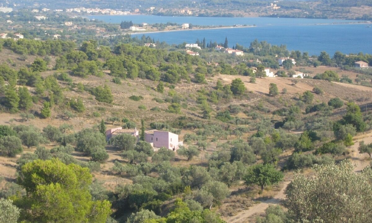 Photo of Others in Kilada