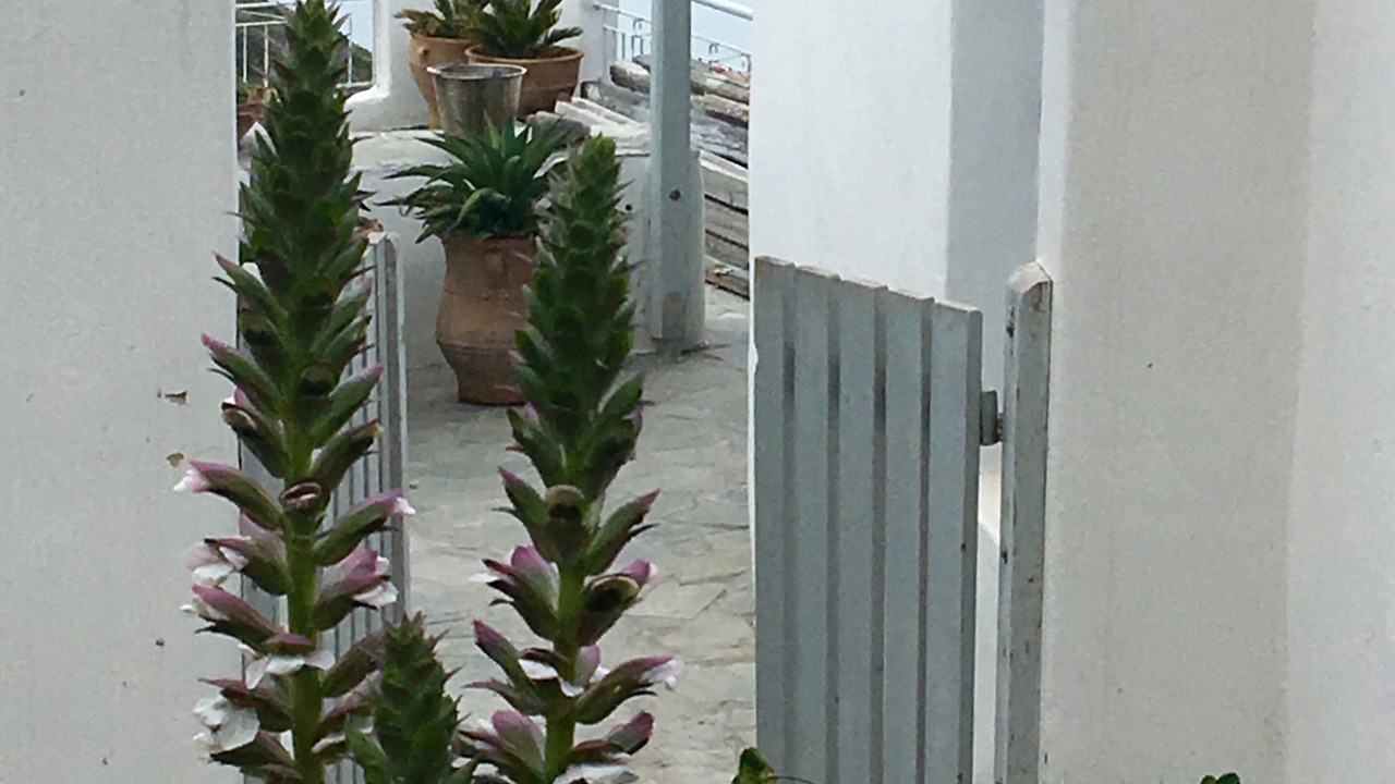 Photo of Outdoor in Tripiti